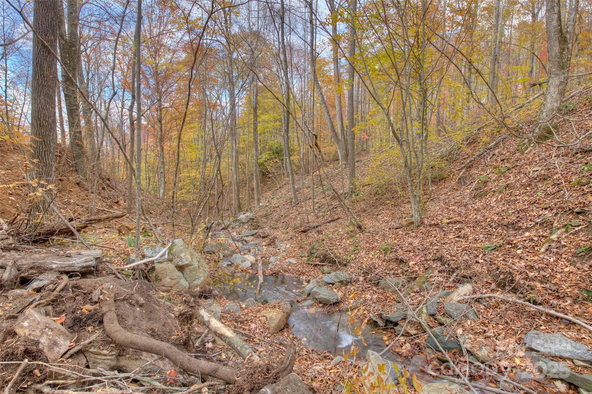 0 Pebble Ridge Road Spruce Pine, NC 28777 - Photo 20 of 26 a backyard of a house with lots of green space