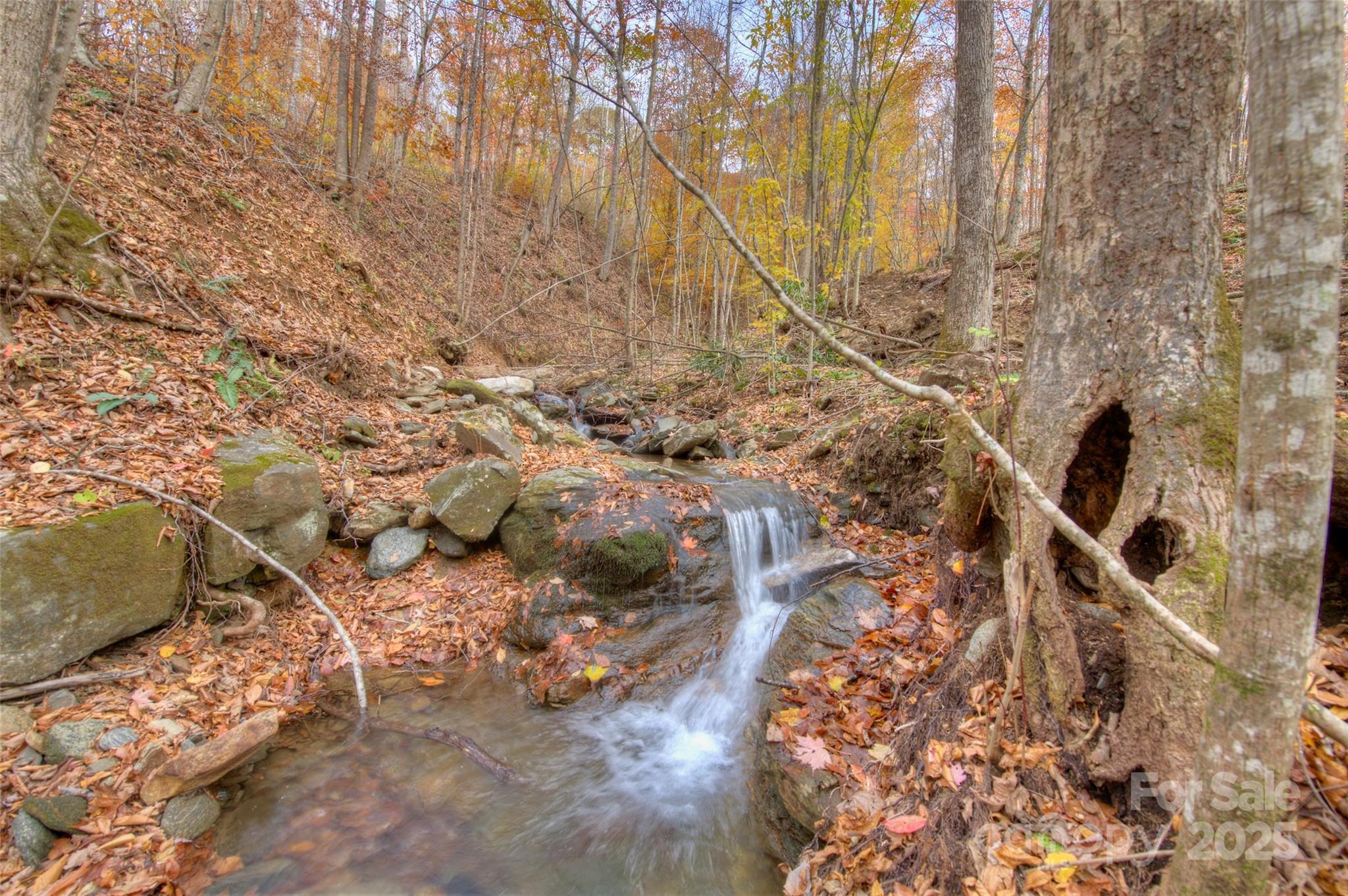 0 Pebble Ridge Road Spruce Pine, NC 28777 - Photo 2 of 26 a backyard of a house
