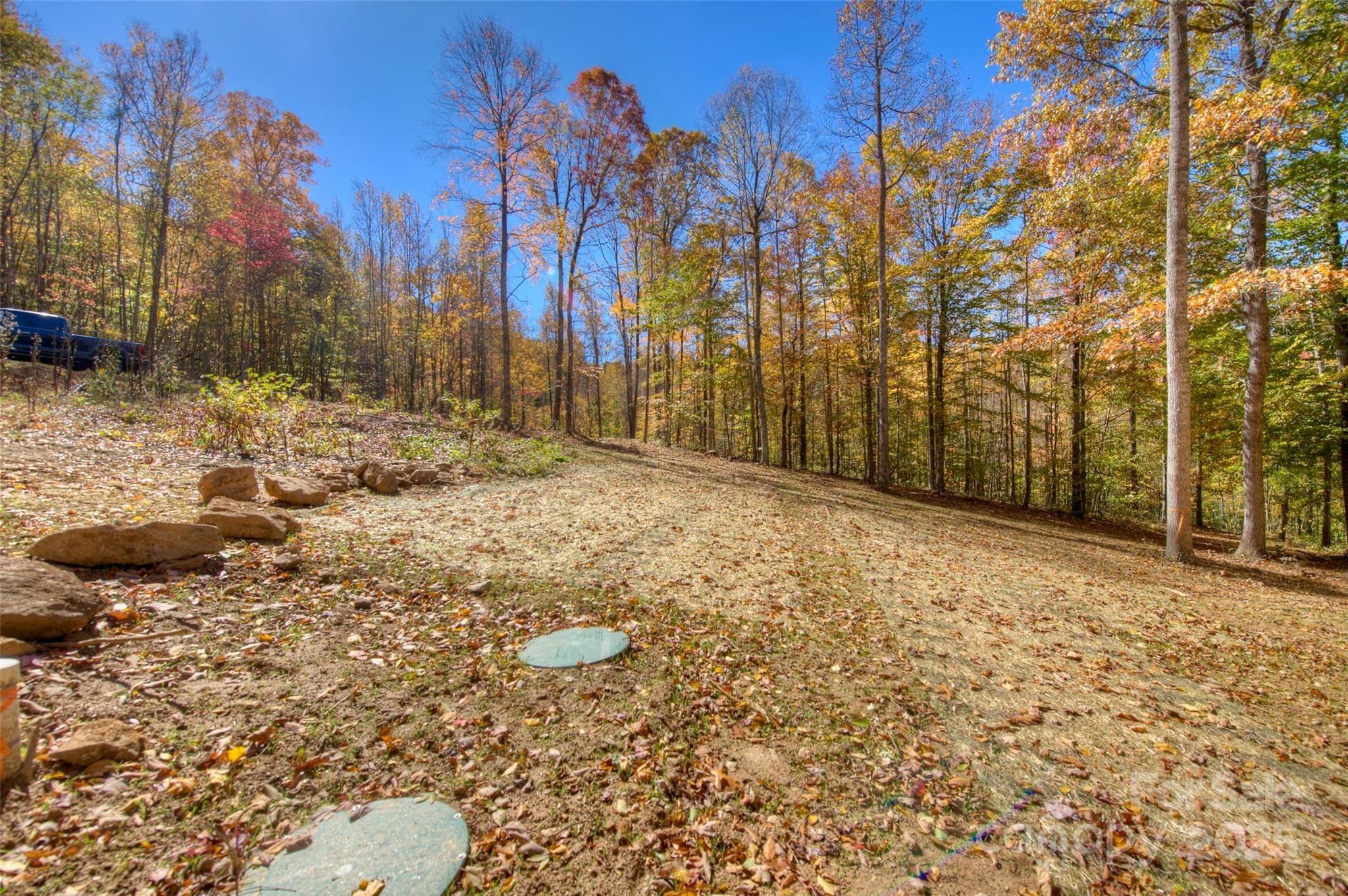 0 Pebble Ridge Road Spruce Pine, NC 28777 - Photo 24 of 26 a view of a yard with trees