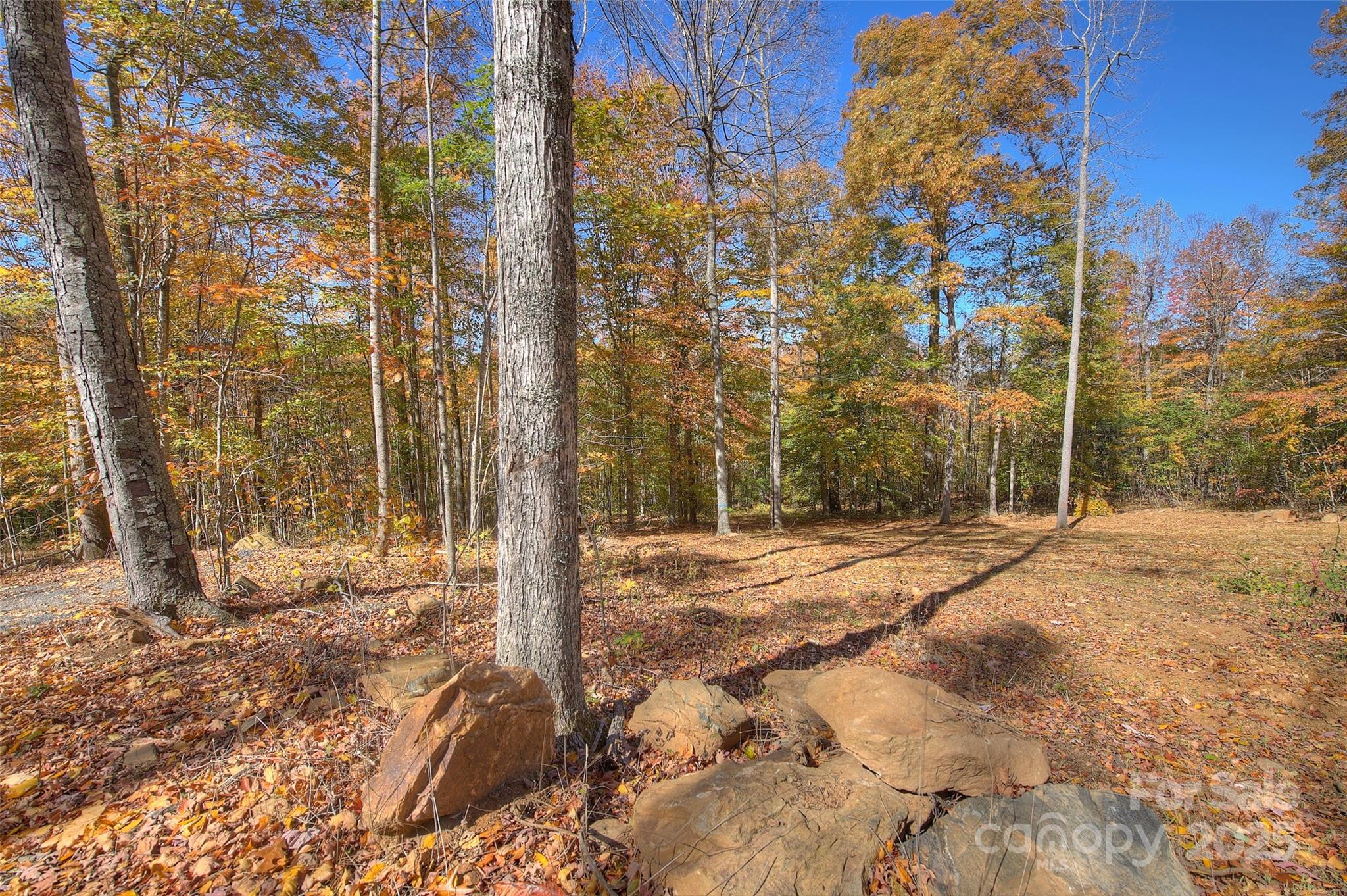 0 Pebble Ridge Road Spruce Pine, NC 28777 - Photo 5 of 26 a view of a backyard of the house