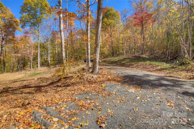 a view of a yard with trees