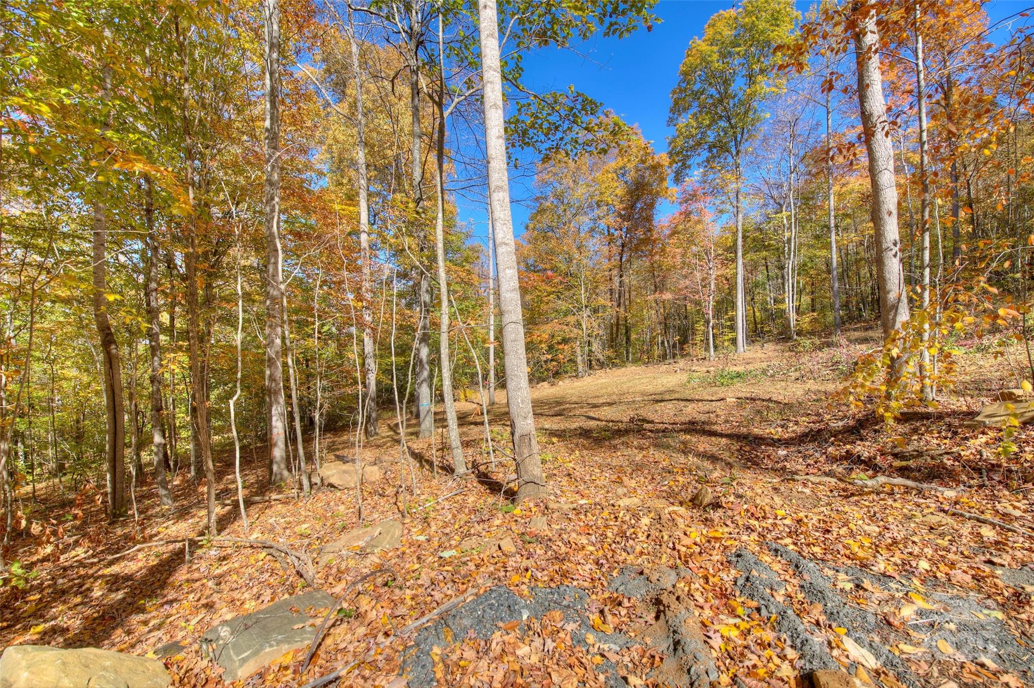 0 Pebble Ridge Road Spruce Pine, NC 28777 - Photo 7 of 26 a view of a backyard of the house