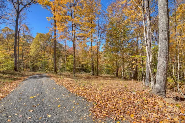 a view of a yard with some trees