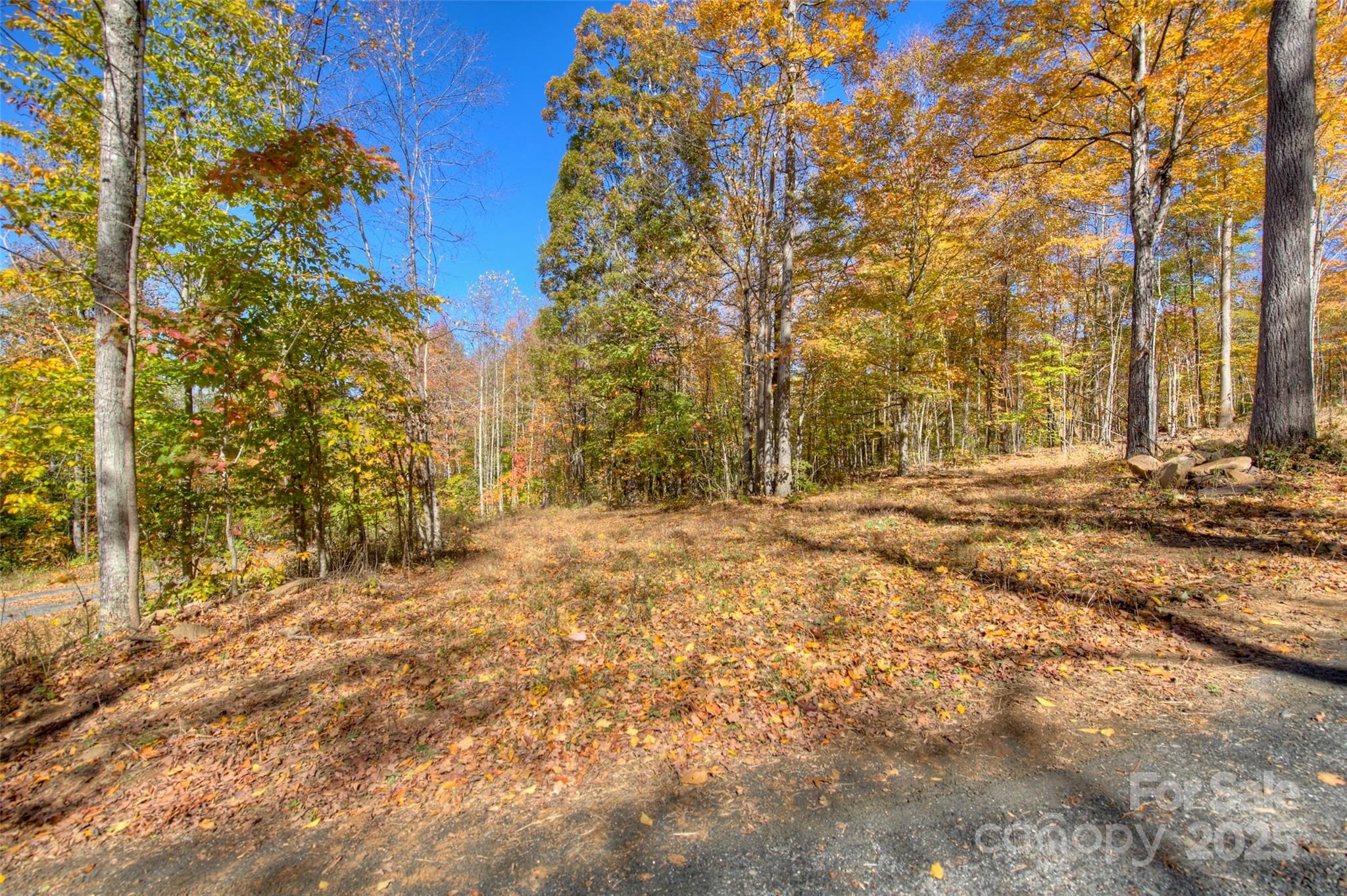 0 Pebble Ridge Road Spruce Pine, NC 28777 - Photo 9 of 26 a view of outdoor space with trees