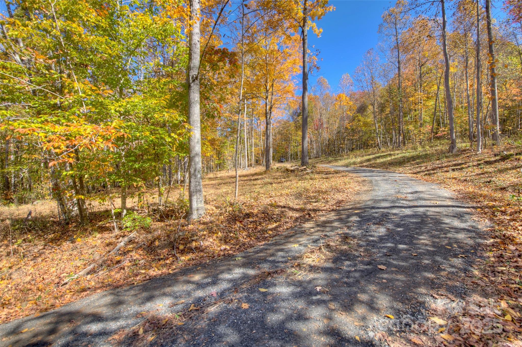 0 Pebble Ridge Road Spruce Pine, NC 28777 - Photo 10 of 26 a view of a yard with trees