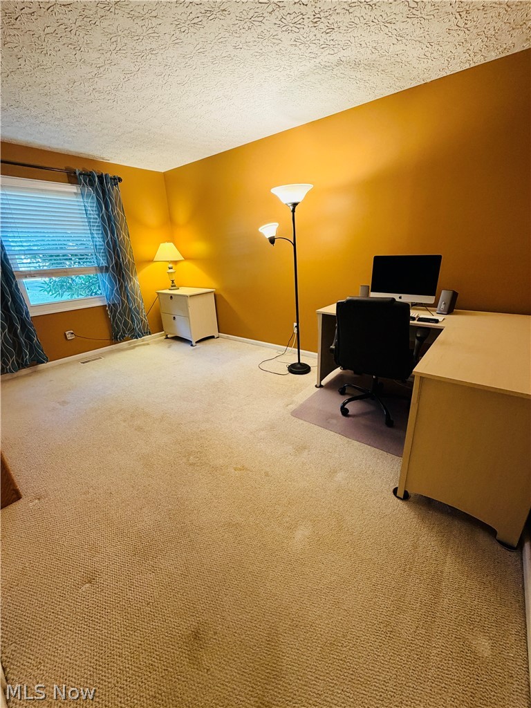 5770 Chapel Road Madison, OH 44057 - Photo 20 of 42 Wall-to-wall carpeting and a window with blinds provide natural light