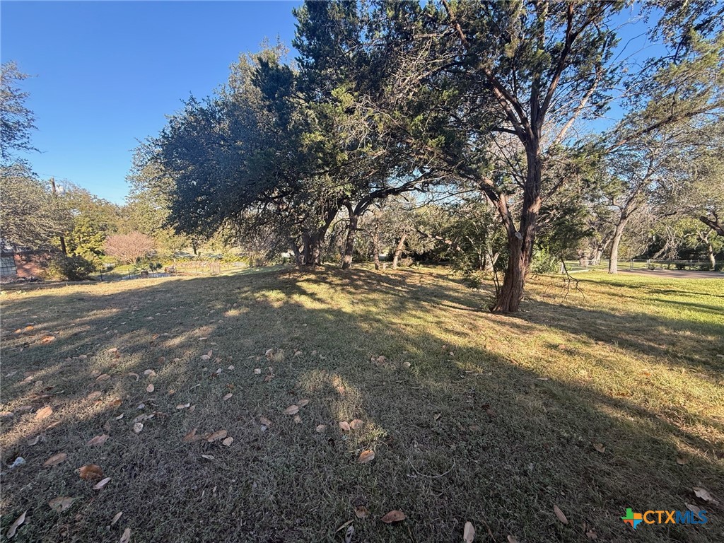 Tbd Estate Drive Belton, TX 76513 - Photo 11 of 21 a view of road with large trees