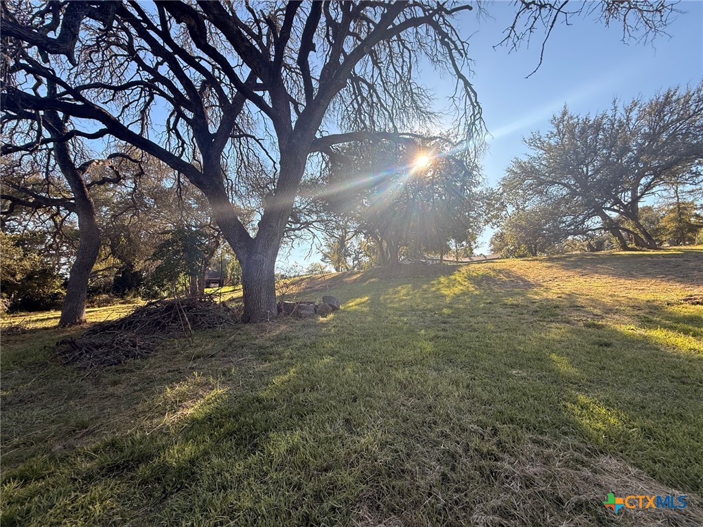 Tbd Estate Drive Belton, TX 76513 - Photo 15 of 21 a view of yard with trees