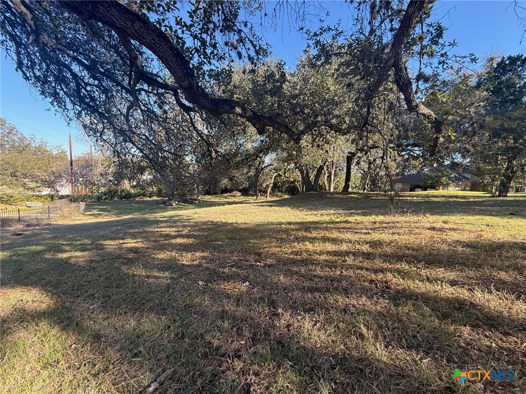 Tbd Estate Drive Belton, TX 76513 - Photo 18 of 21 a view of an ocean and trees