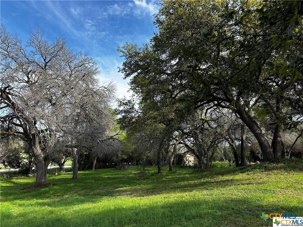 Tbd Estate Drive Belton, TX 76513 - Photo 2 of 21 a big yard with trees