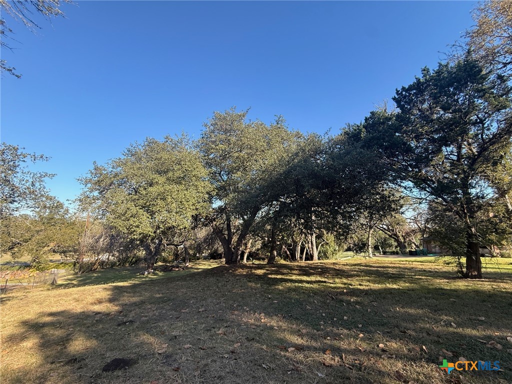 Tbd Estate Drive Belton, TX 76513 - Photo 21 of 21 a view of road and trees