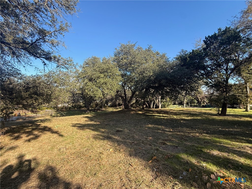 Tbd Estate Drive Belton, TX 76513 - Photo 10 of 21 a view of road with large trees