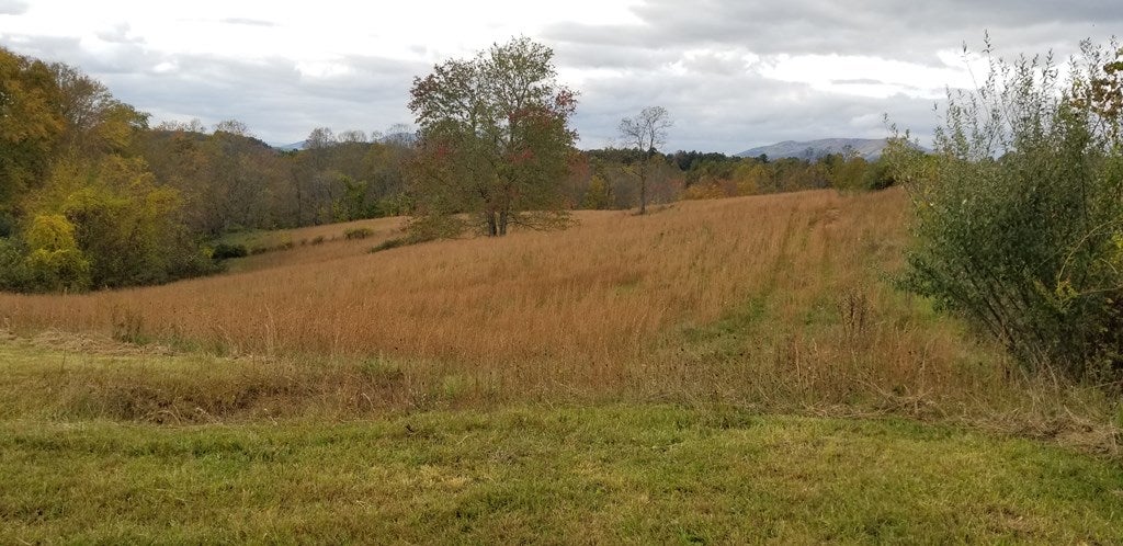 870 Pleasant Grove Road Independence, VA 24348 - Photo 20 of 42 Gallery Image 20