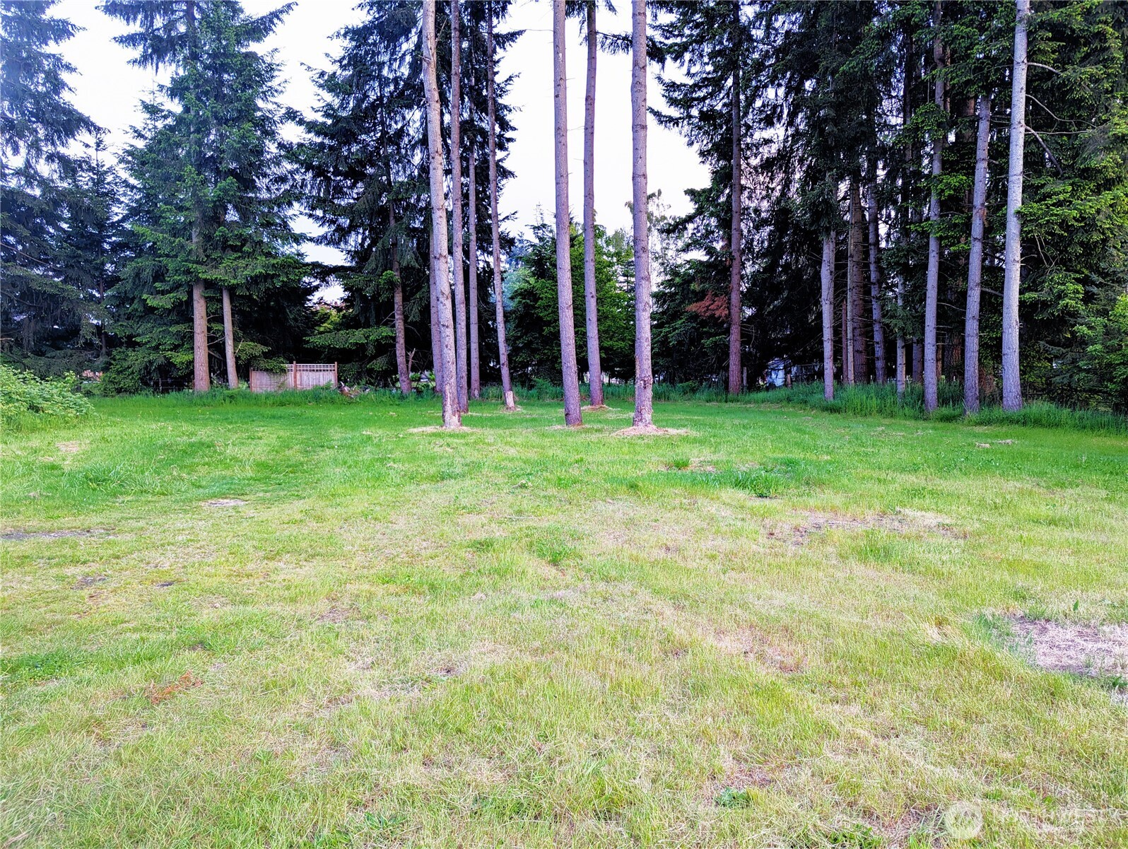 8927 178th Avenue Southwest Rochester, WA 98579 - Photo 16 of 38 a view of a backyard with large trees