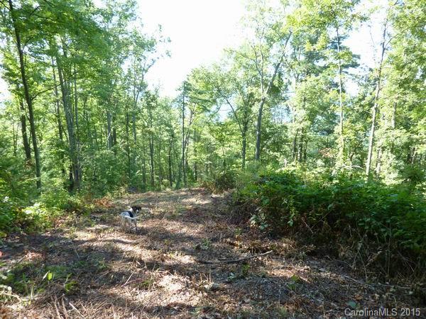Tbd Chapel Hill Road Marshall, NC 28753 - Photo 3 of 5 Gallery Image 3