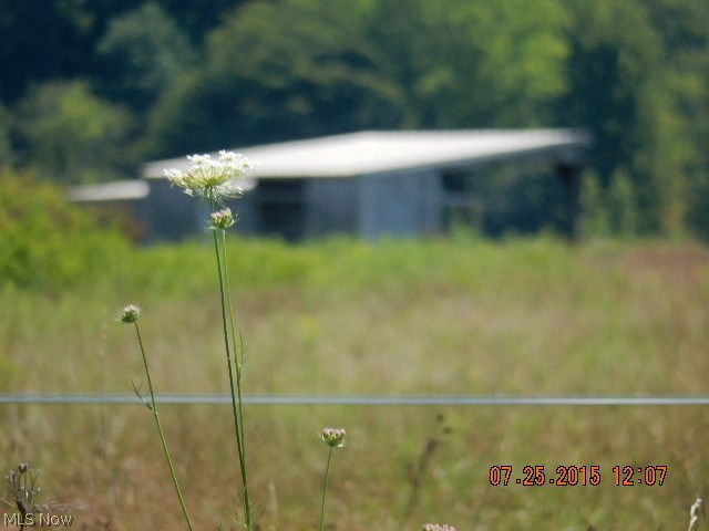 46 State Route Rome, OH 44085 - Photo 5 of 7