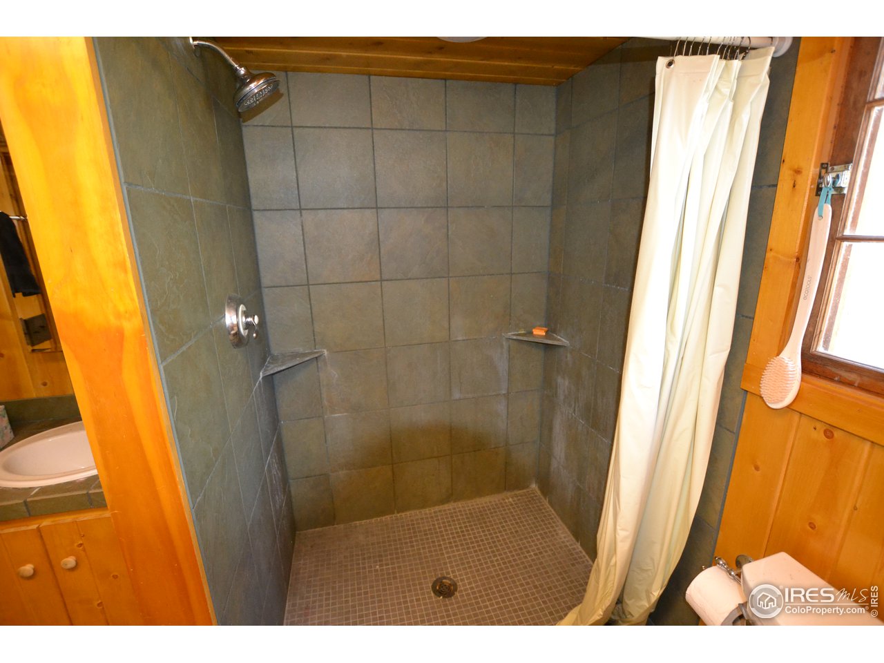 115 Fisk Fenner Road Allenspark, CO 80510 - Photo 11 of 16 Gallery Image 11