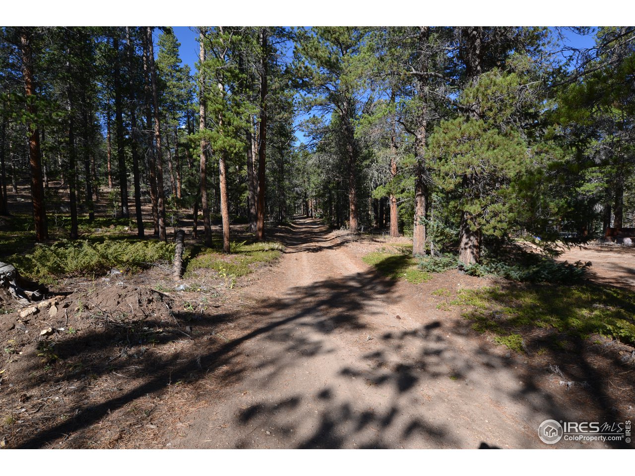 115 Fisk Fenner Road Allenspark, CO 80510 - Photo 16 of 16 Gallery Image 16