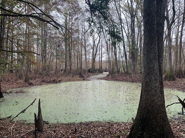 0 North Meridian Road Tallahassee, FL 32312 - Photo 1 of 11 Gallery Image 1