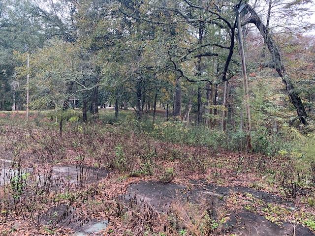 0 North Meridian Road Tallahassee, FL 32312 - Photo 3 of 11 Gallery Image 3