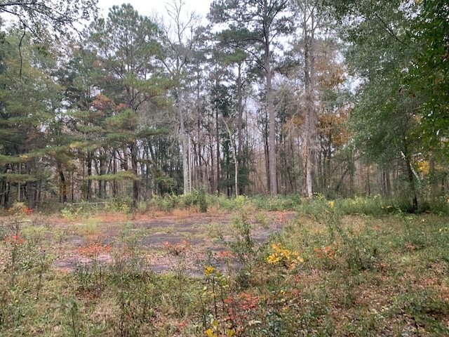 0 North Meridian Road Tallahassee, FL 32312 - Photo 5 of 11 Gallery Image 5