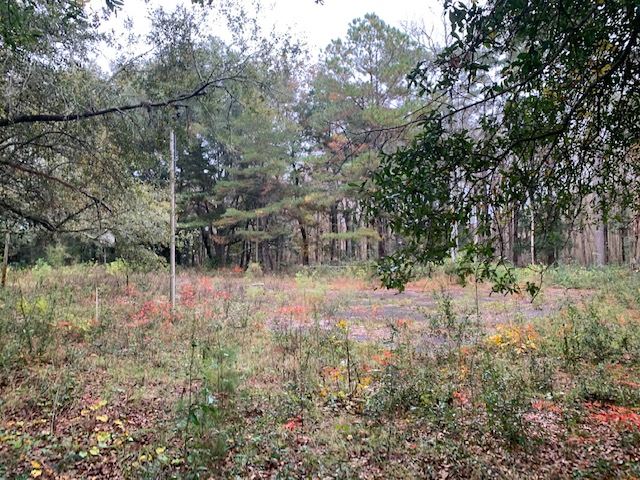 0 North Meridian Road Tallahassee, FL 32312 - Photo 6 of 11 Gallery Image 6