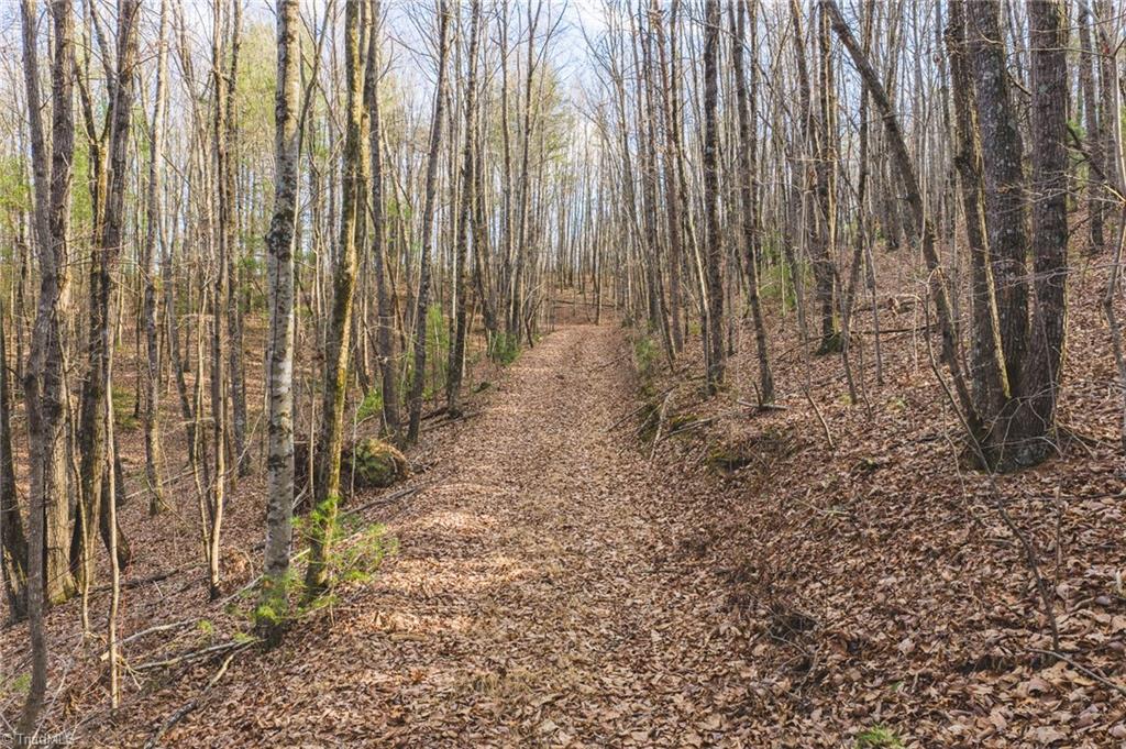 Tbd Lot 2 Tbd Road Taylorsville, NC 28681 - Photo 1 of 27