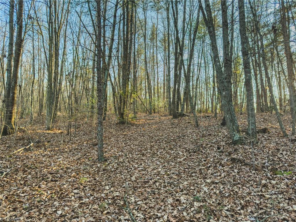 Tbd Lot 2 Tbd Road Taylorsville, NC 28681 - Photo 11 of 27