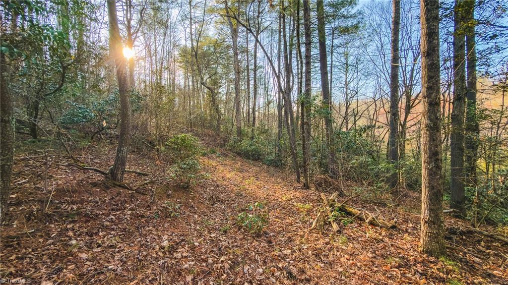 Tbd Lot 2 Tbd Road Taylorsville, NC 28681 - Photo 12 of 27