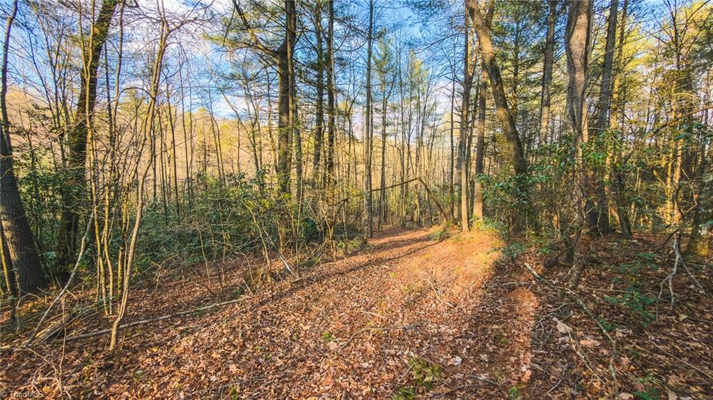 Tbd Lot 2 Tbd Road Taylorsville, NC 28681 - Photo 13 of 27