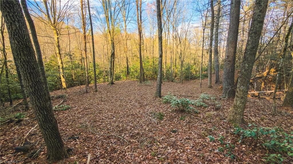 Tbd Lot 2 Tbd Road Taylorsville, NC 28681 - Photo 14 of 27