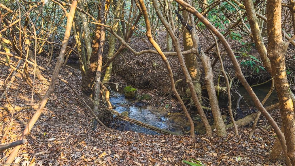 Tbd Lot 2 Tbd Road Taylorsville, NC 28681 - Photo 15 of 27