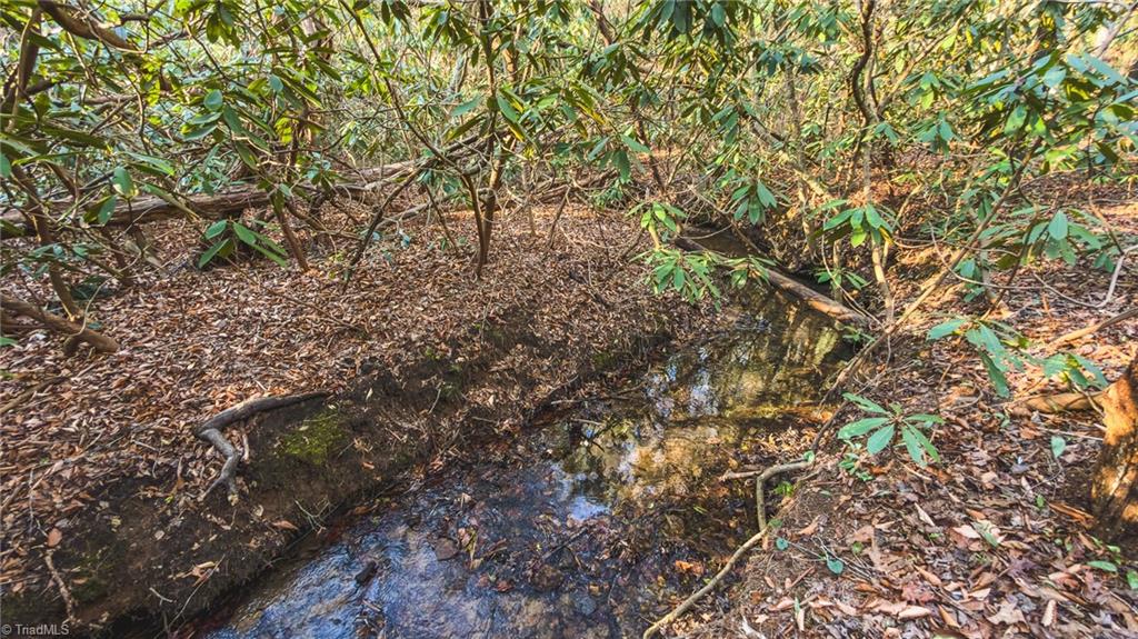 Tbd Lot 2 Tbd Road Taylorsville, NC 28681 - Photo 16 of 27