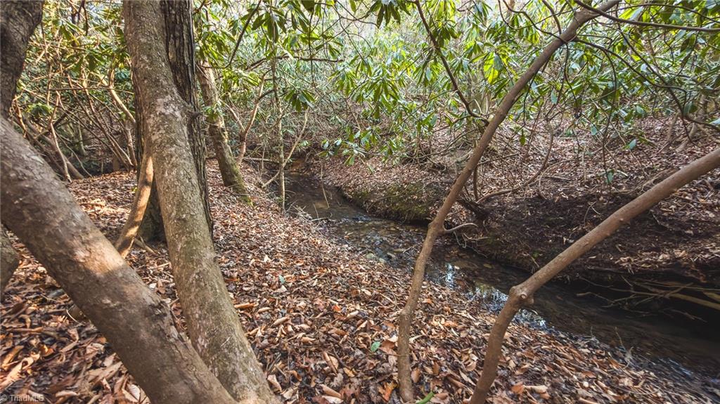 Tbd Lot 2 Tbd Road Taylorsville, NC 28681 - Photo 17 of 27