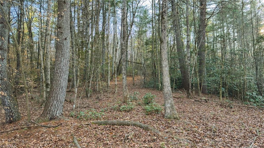 Tbd Lot 2 Tbd Road Taylorsville, NC 28681 - Photo 18 of 27