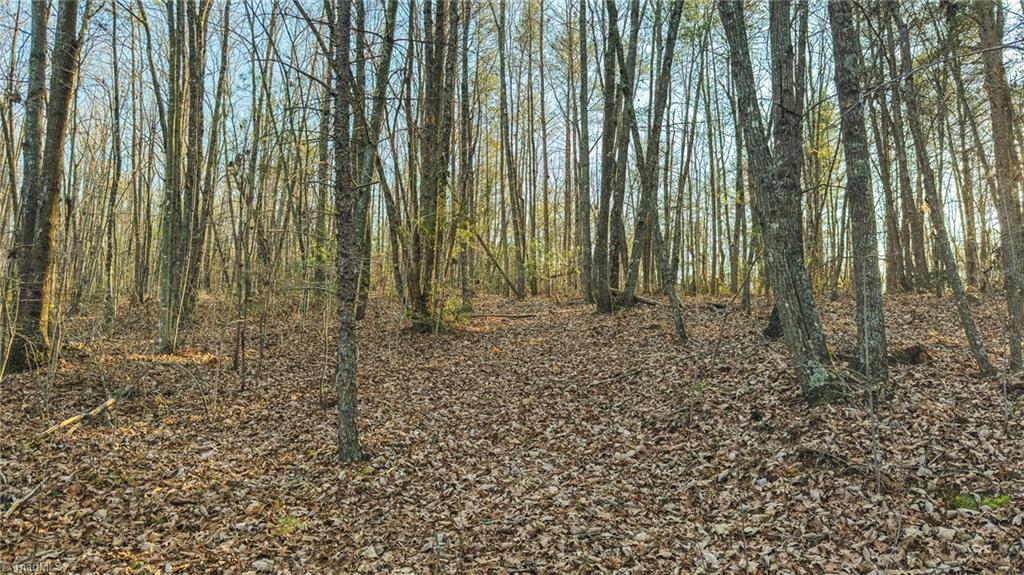 Tbd Lot 2 Tbd Road Taylorsville, NC 28681 - Photo 19 of 27