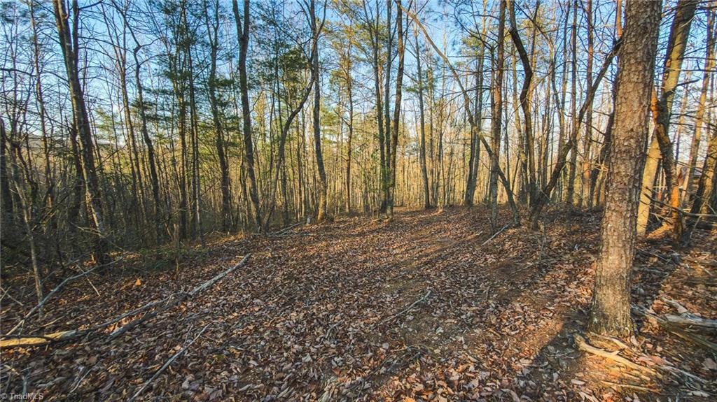 Tbd Lot 2 Tbd Road Taylorsville, NC 28681 - Photo 20 of 27