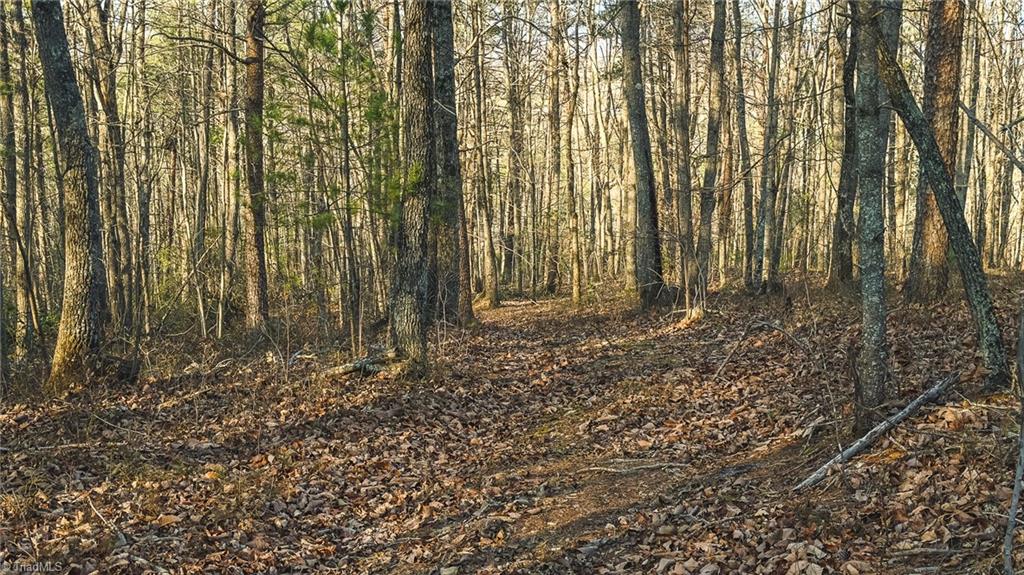 Tbd Lot 2 Tbd Road Taylorsville, NC 28681 - Photo 21 of 27