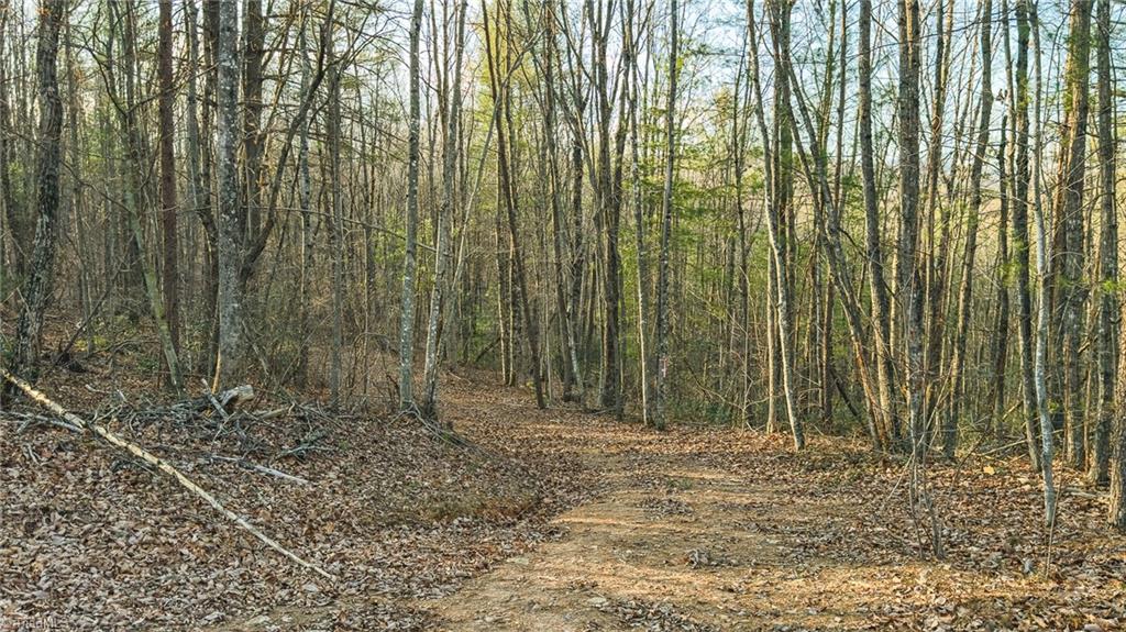 Tbd Lot 2 Tbd Road Taylorsville, NC 28681 - Photo 22 of 27