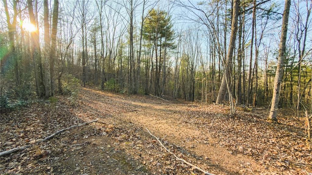 Tbd Lot 2 Tbd Road Taylorsville, NC 28681 - Photo 23 of 27