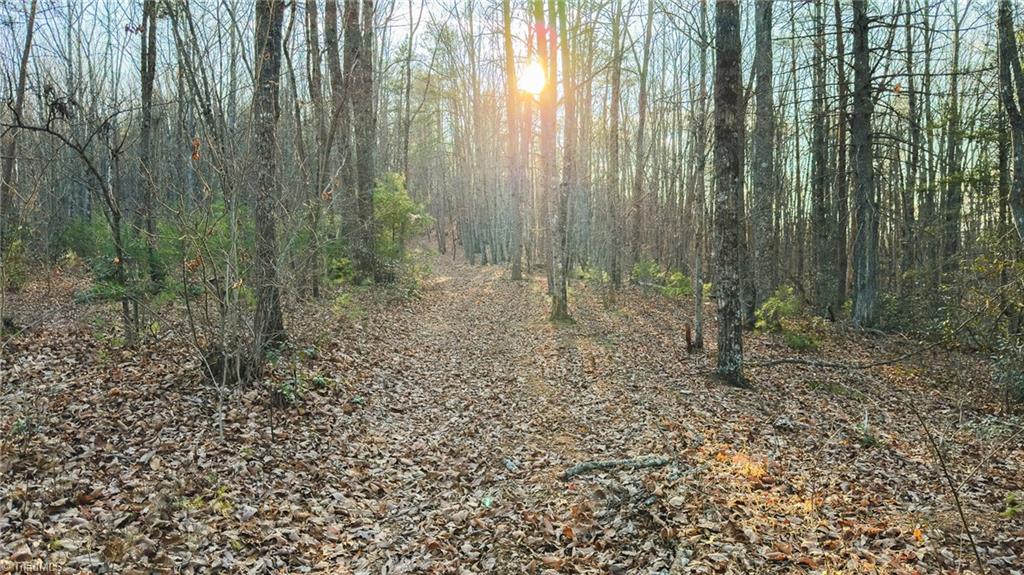 Tbd Lot 2 Tbd Road Taylorsville, NC 28681 - Photo 24 of 27