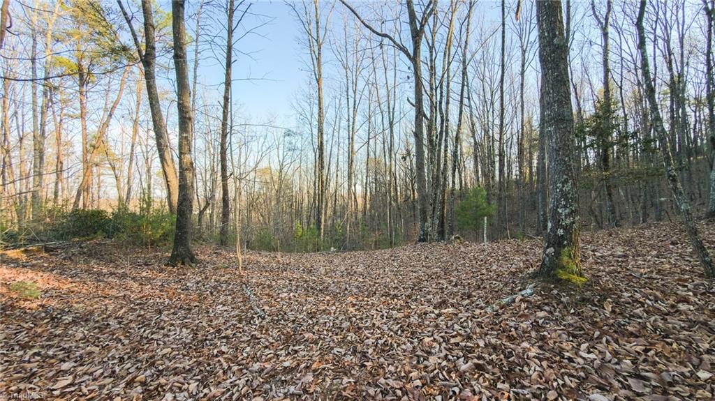 Tbd Lot 2 Tbd Road Taylorsville, NC 28681 - Photo 25 of 27