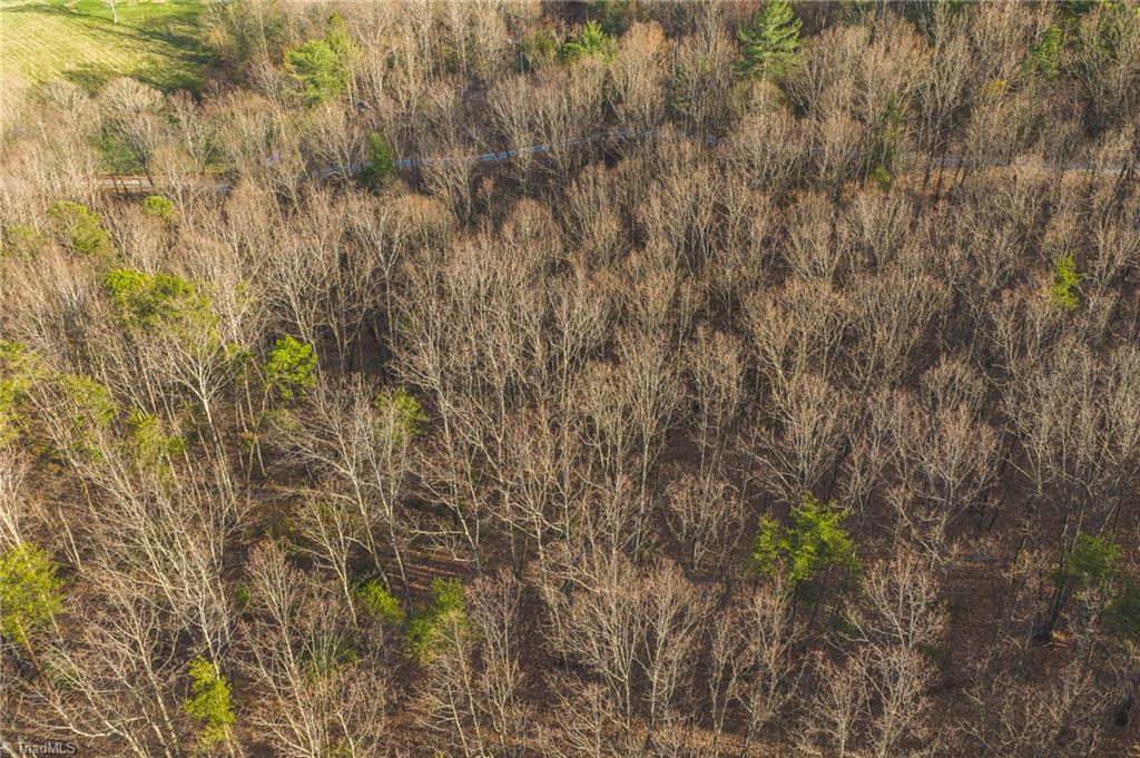 Tbd Lot 2 Tbd Road Taylorsville, NC 28681 - Photo 4 of 27