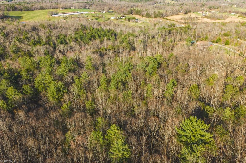 Tbd Lot 2 Tbd Road Taylorsville, NC 28681 - Photo 5 of 27