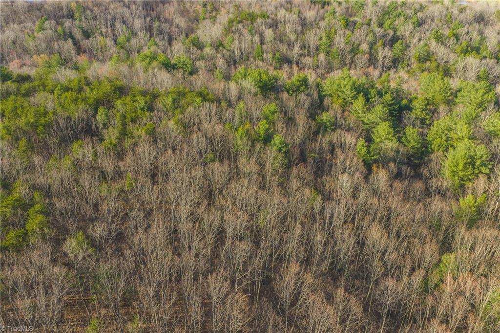 Tbd Lot 2 Tbd Road Taylorsville, NC 28681 - Photo 6 of 27