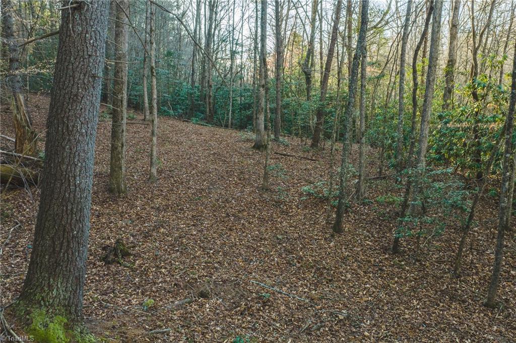 Tbd Lot 2 Tbd Road Taylorsville, NC 28681 - Photo 7 of 27