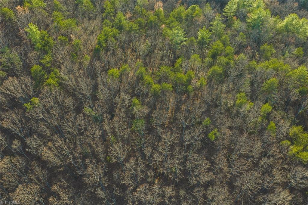 Tbd Lot 2 Tbd Road Taylorsville, NC 28681 - Photo 9 of 27