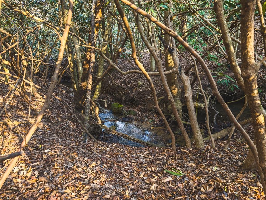 Tbd Lot 2 Tbd Road Taylorsville, NC 28681 - Photo 10 of 27