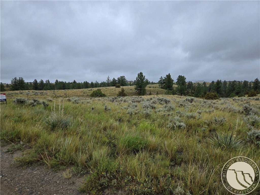 16 Mountain View Road Molt, MT 59057 - Photo 17 of 19 Gallery Image 17