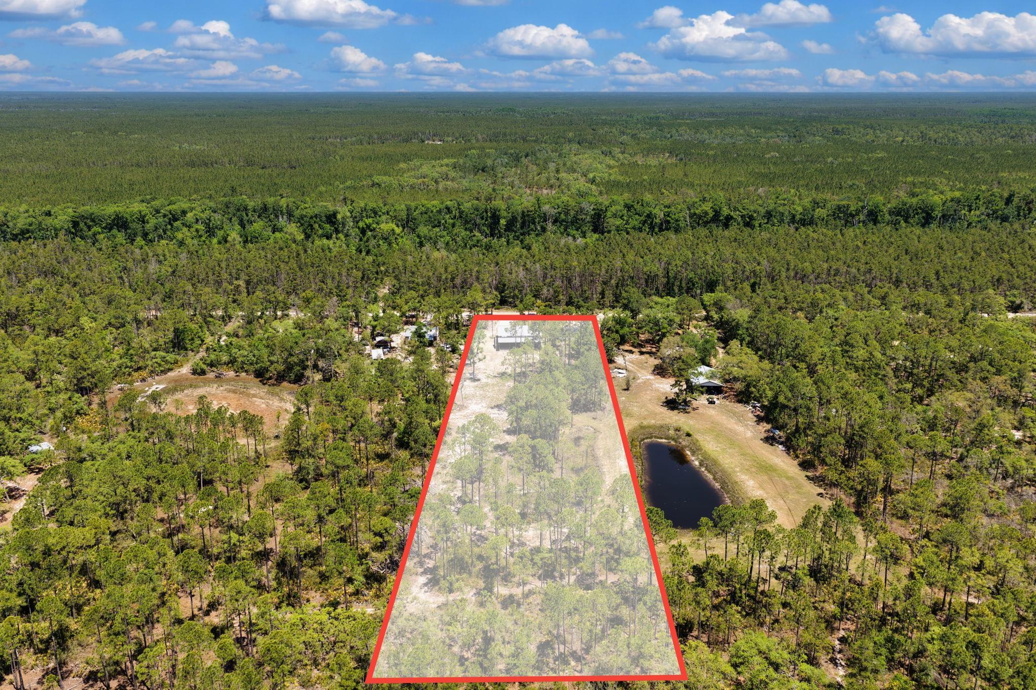 2151 Politic Road Perry, FL 32348 - Photo 3 of 53